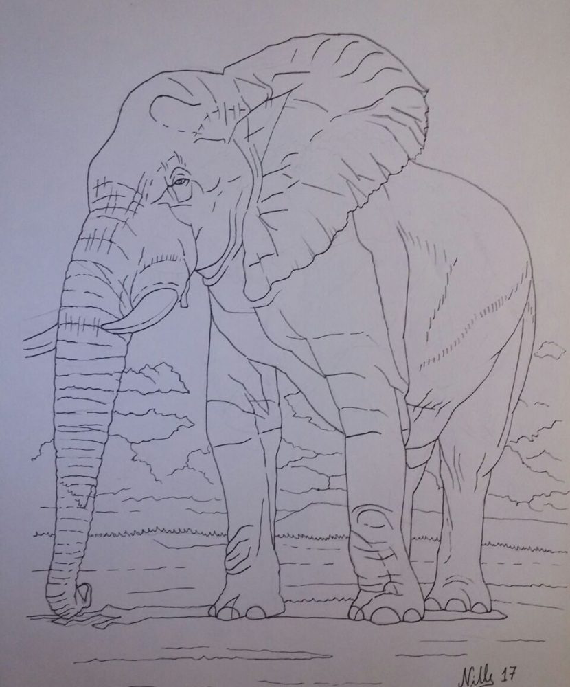 Artist Nicolás Iribarne Llano donates work to The Elephant Minds Foundation